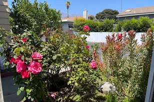 1500 Richmond Rd, Santa Paula, CA 93060 - Photo 28