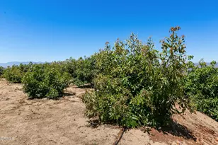 12127 Presilla Rd, Camarillo, CA 93012 - Photo 14