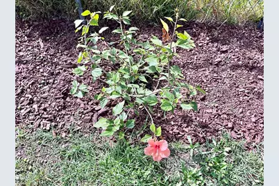 1140 Teakwood Street, Oxnard, CA 93033 - Photo 18