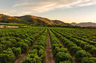 0 Goodenough Rd St, Fillmore, CA 93015 - Photo 1