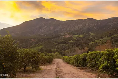 0 Goodenough Rd Street, Fillmore, CA 93015 - Photo 6