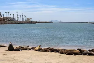 2125 Piru Ave, Oxnard, CA 93035 - Photo 42