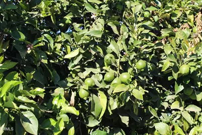 0 Price Road, Somis, CA 93066 - Photo 8