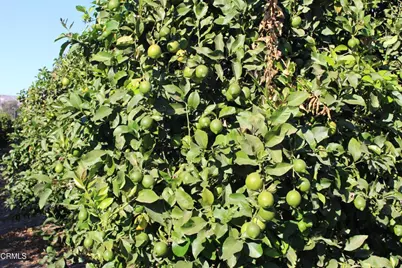 0 Price Road, Somis, CA 93066 - Photo 2