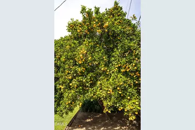 194 Dean Court, Ventura, CA 93003 - Photo 32