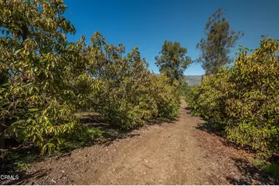 20296 S Mountain Road, Santa Paula, CA 93060 - Photo 40