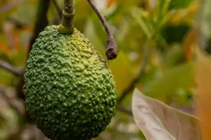 161 Harborview Ct, Ventura, CA 93003 - Photo 46