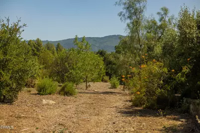 1 Hendrickson Road, Ojai, CA 93023 - Photo 10