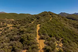 7343 Rose Valley Rd, Ojai, CA 93023 - Photo 44