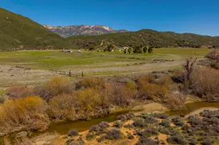 7343 Rose Valley Rd, Ojai, CA 93023 - Photo 30