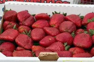 2113 Doral Ct, Oxnard, CA 93036 - Photo 52