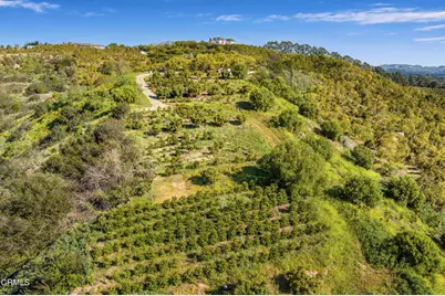 4305 Groves Place, Somis, CA 93066 - Photo 16