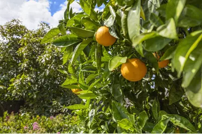 9417 -9419 Petit Court, Ventura, CA 93004 - Photo 24