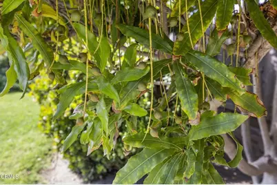 9417 9419 Petit Court, Ventura, CA 93004 - Photo 26