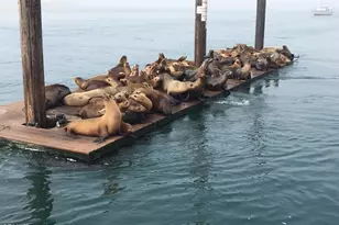 2177 Eastridge Trail, Oxnard, CA 93036 - Photo 54