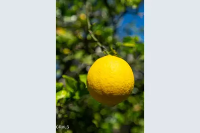 2007 Inez Drive, Oxnard, CA 93030 - Photo 38