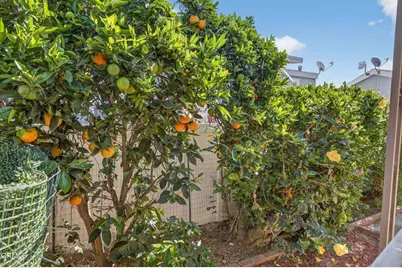 226 Youmans Drive #226, Ventura, CA 93003 - Photo 22