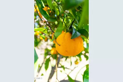 127 Glen Ellen Drive, Ventura, CA 93003 - Photo 38