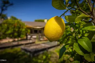 401 S Carillo Rd, Ojai, CA 93023 - Photo 8