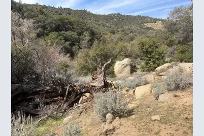 8275 Jawbone Canyon Road, Weldon, CA 93283 - Photo 62