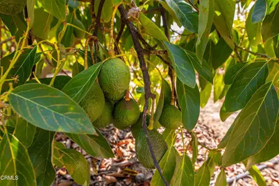 5275 N Creston Lane, Somis, CA 93066 - Photo 48