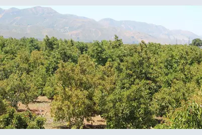 0 Camulos Street, Piru, CA 93040 - Photo 22