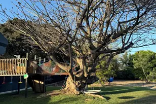 1177 E Collins St, Oxnard, CA 93036 - Photo 4