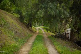 1335 Fraser Ln, Ojai, CA 93023 - Photo 12