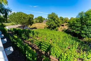 5856 La Cumbre Rd, Somis, CA 93066 - Photo 32
