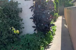 220 S Palm Ave, Santa Paula, CA 93060 - Photo 10