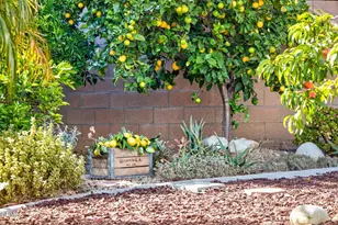 424 Roosevelt Ct, Ventura, CA 93003 - Photo 8