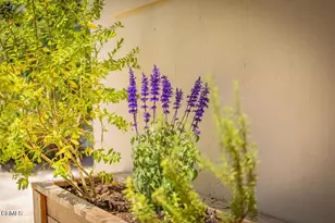 919 E Matilija St, Ojai, CA 93023 - Photo 42