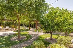 919 E Matilija St, Ojai, CA 93023 - Photo 6