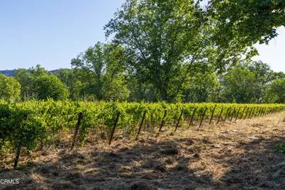 801 E Highway 246, Solvang, CA 93463 - Photo 6