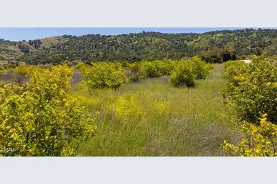 12400 Ojai Santa Paula Road, Ojai, CA 93023 - Photo 18