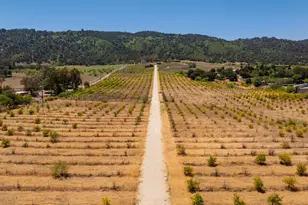 12400 Ojai Santa Paula Rd, Ojai, CA 93023 - Photo 1
