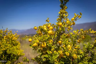 12400 Ojai Santa Paula Road, Ojai, CA 93023 - Photo 12