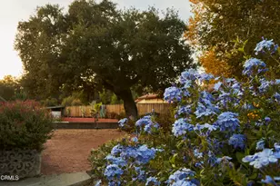 918 El Toro Rd, Ojai, CA 93023 - Photo 38