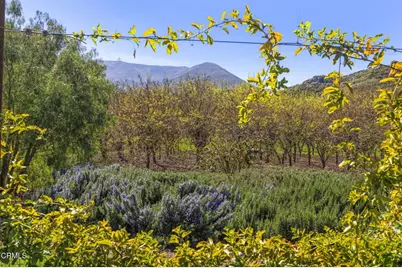 4620 Casitas Pass Road, Ventura, CA 93001 - Photo 4
