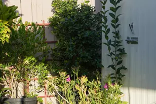 1075 Loma, Ojai, CA 93023 - Photo 4