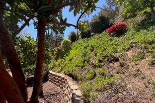 657 Dana Dr, Santa Paula, CA 93060 - Photo 50