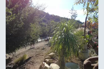 320 N Barbara Street, Ojai, CA 93023 - Photo 40