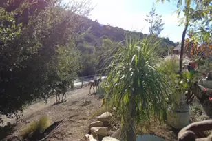 320 N Barbara St, Ojai, CA 93023 - Photo 40
