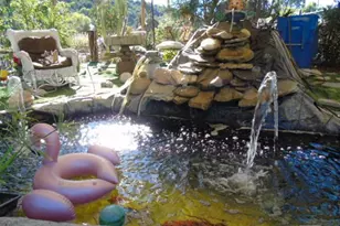 320 N Barbara St, Ojai, CA 93023 - Photo 18
