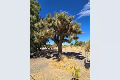 0 W Cor 12thw Avenue N-8, Palmdale, CA 93550 - Photo 16