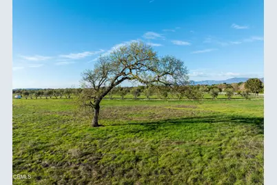 0 White Oak Road, Santa Ynez, CA 93460 - Photo 8