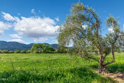 0 White Oak Road, Santa Ynez, CA 93460 - Photo 6