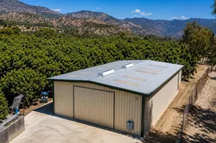 1337 Cliff Ave, Fillmore, CA 93015 - Photo 4
