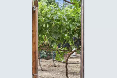 211 Shady Lane, Ojai, CA 93023 - Photo 52