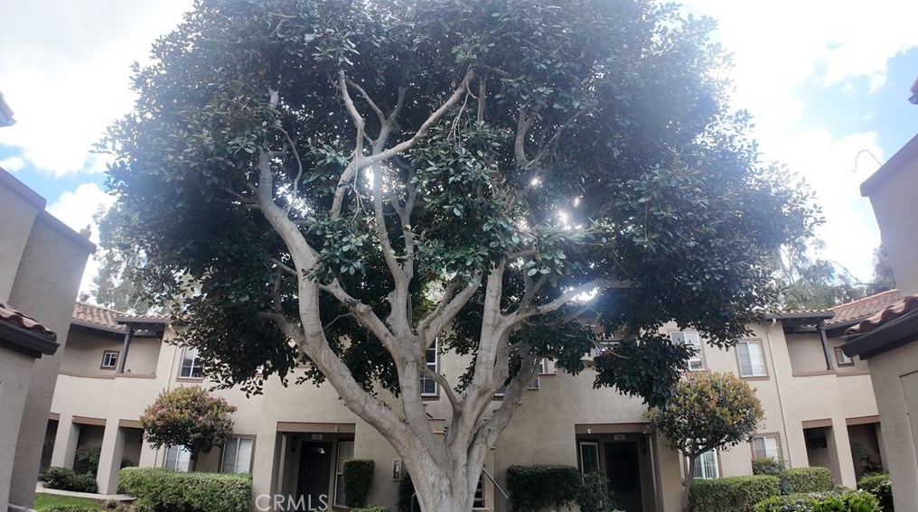 24 Via Solaz, Trabuco Canyon, CA 92688